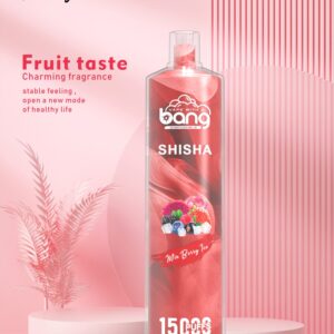 Bang SHISHA 15000
