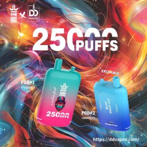 ddvapes_Bang_King_25000_Puffs