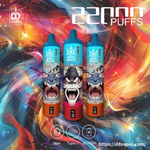 ddvapes-Bang-Beach-22000Puffs