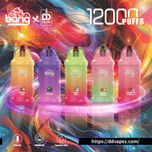 ddvapes-Bang-King-12000-Puffs